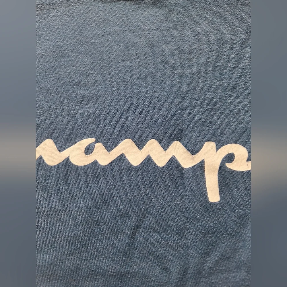 Champion Men's Blue T-Shirt - Picture 2 of 6
